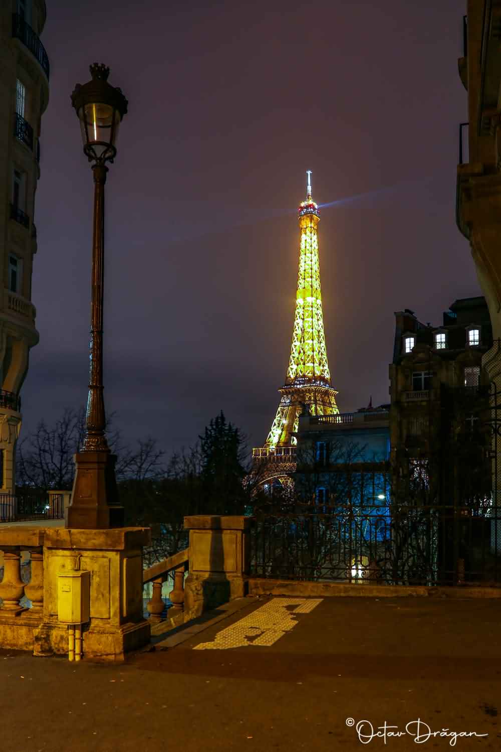 Paris, France, Eiffel Tower, Session 15